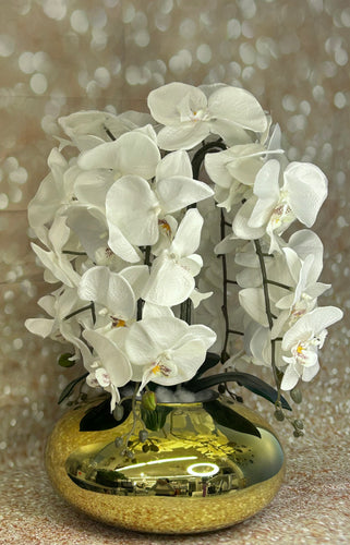 Vase mit Orchidee