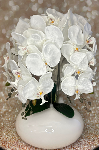 Orchidee mit Vase