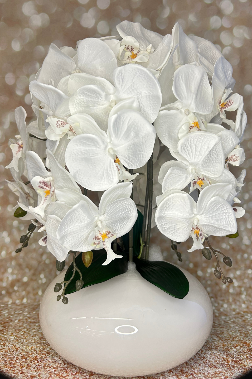 Orchidee mit Vase