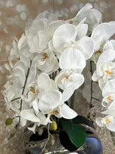 Laden Sie das Bild in den Galerie-Viewer, Orchidee mit Vase