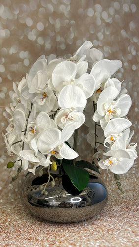 Orchidee mit Vase