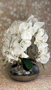 Orchidee mit Vase
