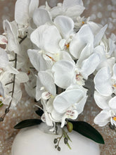Laden Sie das Bild in den Galerie-Viewer, Orchidee mit Vase