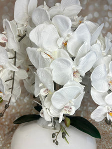 Orchidee mit Vase